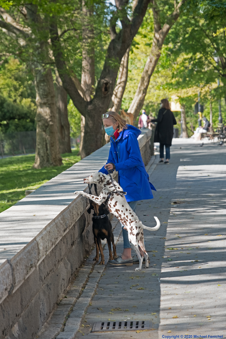 Happy Dalmation]