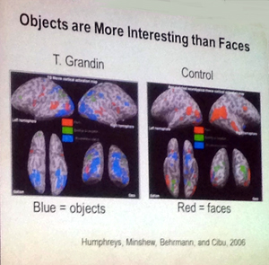 Object vs. Face Recognition