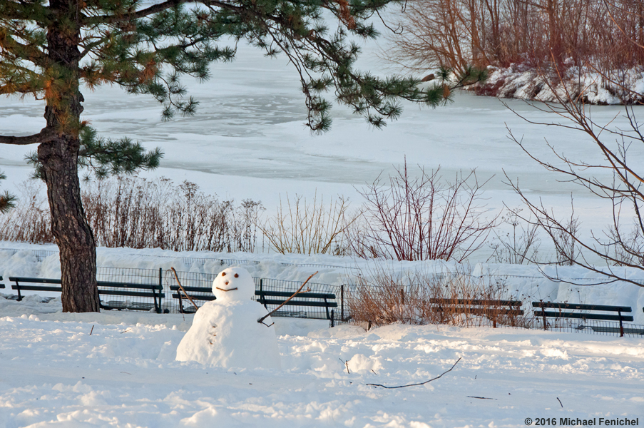 [Snowman in Central Park]